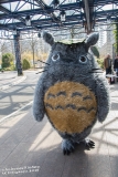 MagicCon2018_DSC_1546